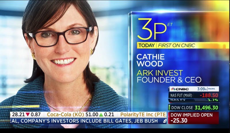 Cathie wood ark invest