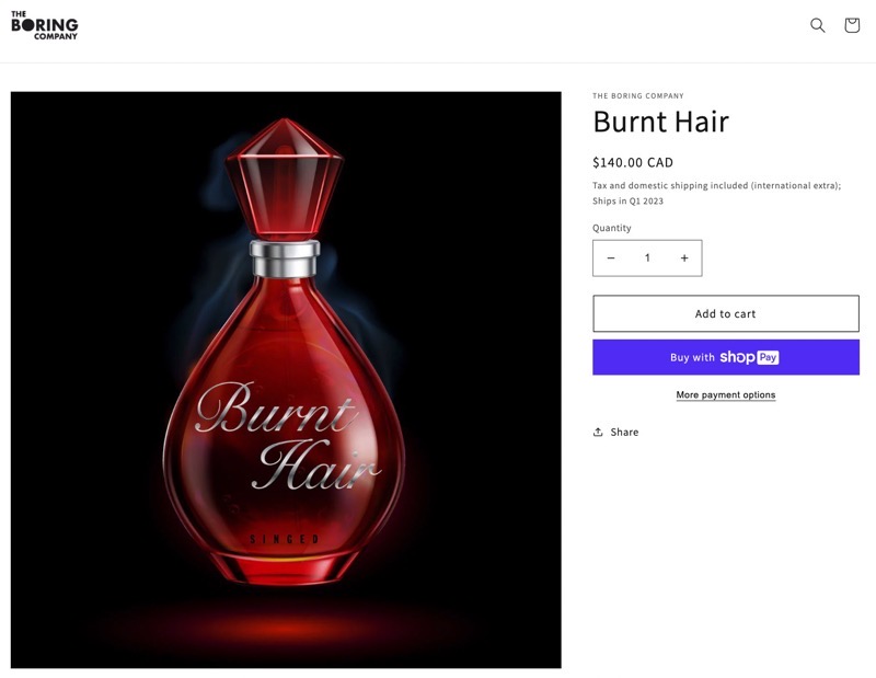 burnt hair website