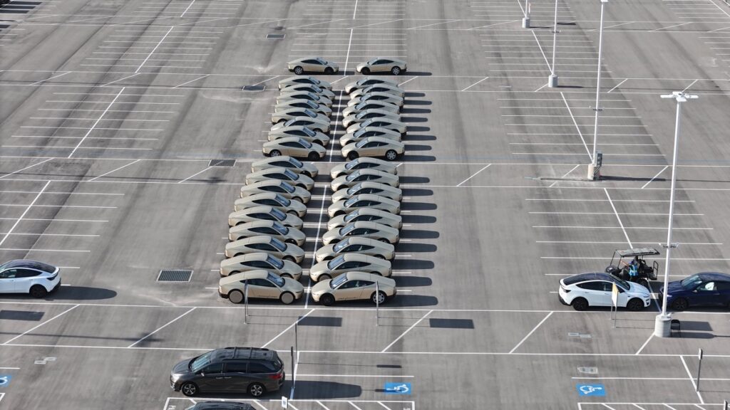 Tesla Loading Ramp Record 60 Tesla Cybercabs Spotted at Giga Texas as Production Ramp ...